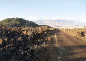 Rough and narrow paved road, passing to right of Koa Kipuka