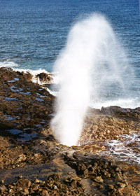 Spouting Horn blowhole