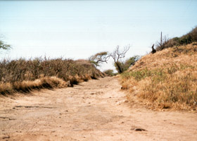 Unpaved western approach to Kaena Pt.