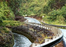 Irrigation ditch along Hana Highway