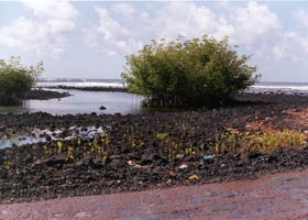 Tide approaches Red Road, then with old red pavement