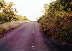 Cutoff stretch of old route 130, with lava encroaching on eastbound lane