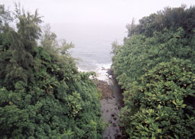 Nanue Stream flows into the mist-covered ocean, under the Nanue Bridge