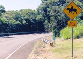 Mule crossing sign