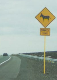 Donkey crossing sign
