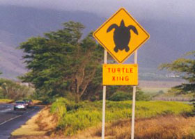 Turtle X-ing sign