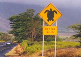 Turtle Xing sign