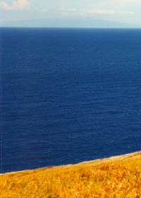 Blue ocean contrasts with dry golden grass, with Mauna Kea off in the distance