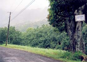 Dirt road branching off state route 560