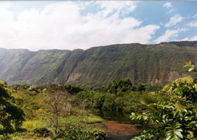 Waipio Valley, from bottom of access road