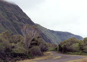 Road from Kalawao Cove toward Kalaupapa